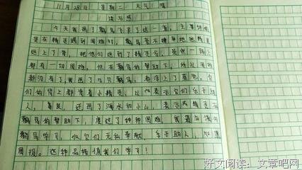摘星Ⅱ读后感精选