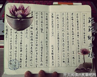 《永玉六记·珍藏版》读后感1000字