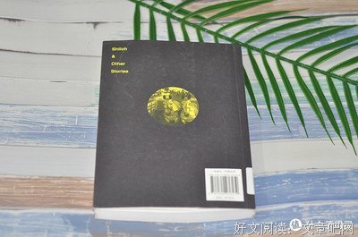 《夏伊洛公园》经典读后感有感