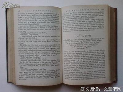《匹克威克太太》读后感100字
