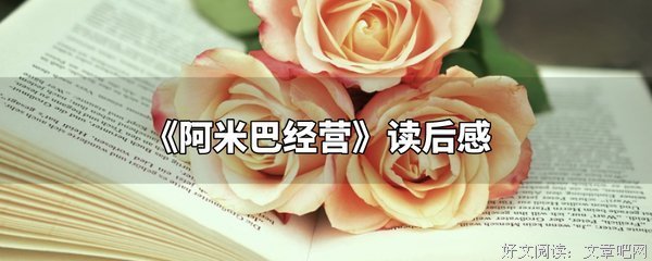 阿米巴不是什么经典读后感有感