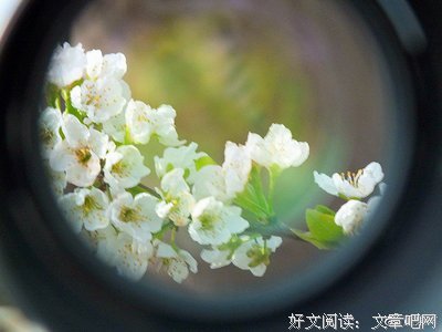 打败操盘手读后感100字