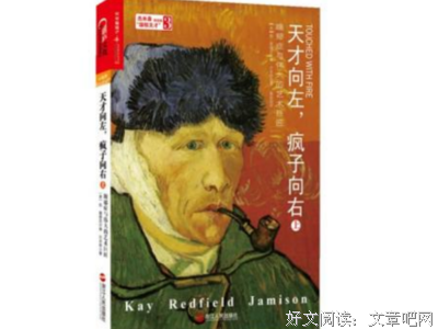 《天才向左,疯子向右》读后感摘抄