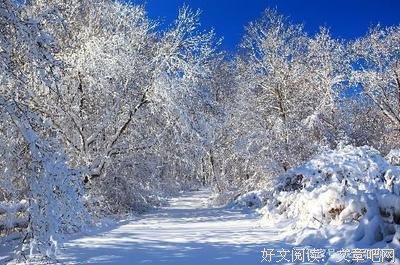 曾经沧海的句子
