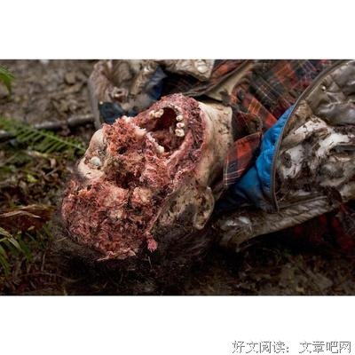 《嗜血灰熊》经典观后感集