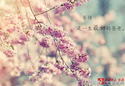 静若止用上经典的句子