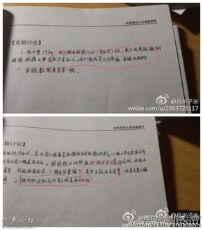 《火流星》经典观后感集