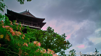 《恋，最美》的句子