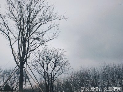 最全的曾伟精彩语录