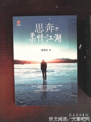 思奔于柔情江湖的读后感大全