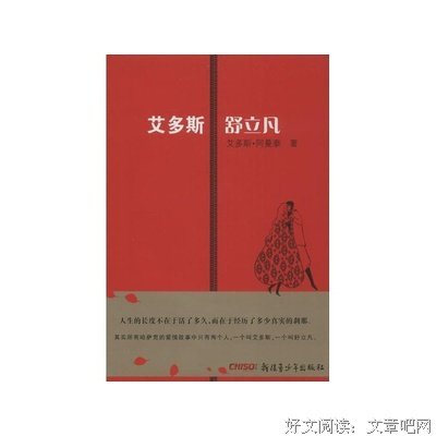 《艾多斯·舒立凡》读后感1000字