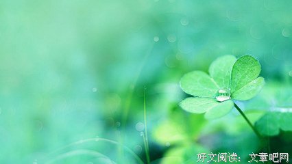 爱情吻过我们的脸读后感锦集