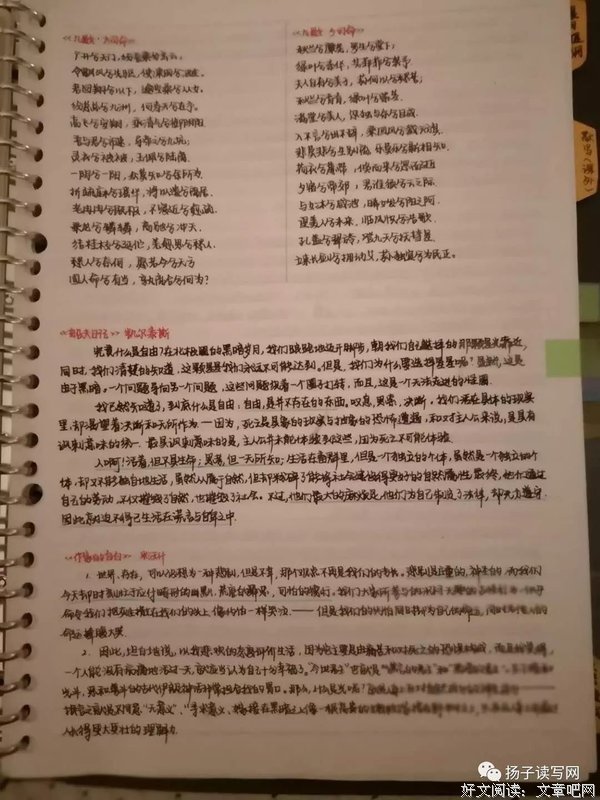 描写色彩斑斓的语句摘抄