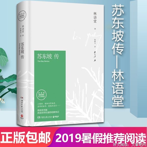 苏东坡传读后感摘抄