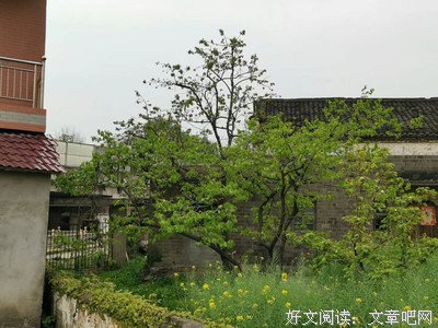 描写人生如梦的经典句子