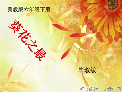 《毕淑敏》的句子