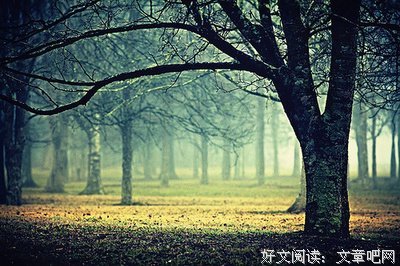 张爱玲经典名句
