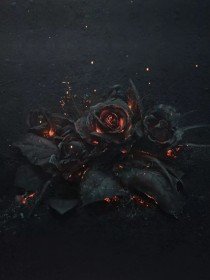 暗夜永寂句子