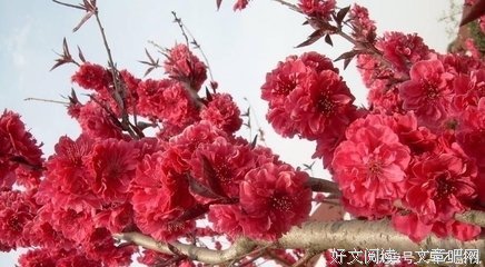 剑天在心眼们名句欣赏