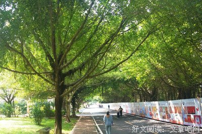 关于温衡，言希的句子