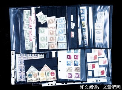 含慈句子
