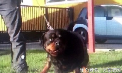 可心考的句子