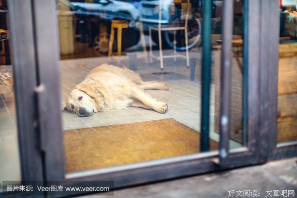 最新的《当了外那拯救咖啡店开成山》小说书摘