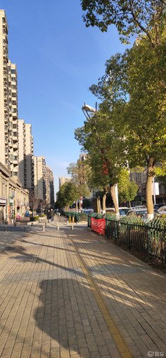 最全的《今当成子不上班》经典句子