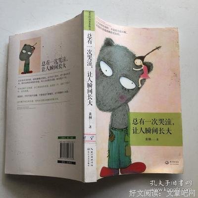 总有一次流泪让我们瞬间长大读后感精选