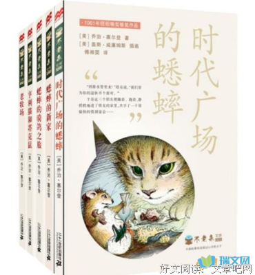 中国不一样读后感100字