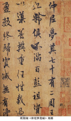 《中国书法概述》读后感100字
