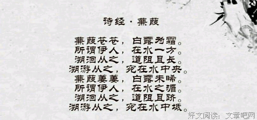 诗经现场读后感1000字