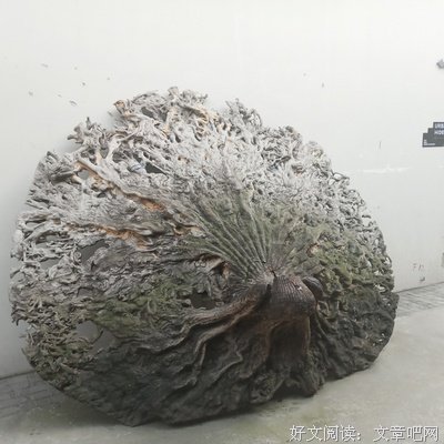 人性的弱点全集读后感1000字