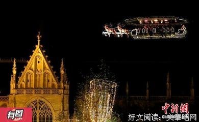 红兔读后感锦集