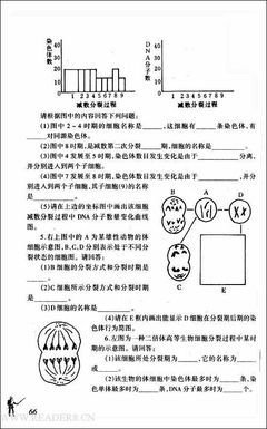 《我在奥林匹克山下的村野生活》读后感100字