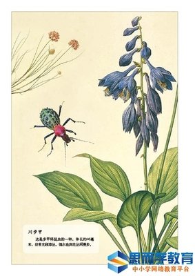 《蜘蛛之丝》读后感1000字