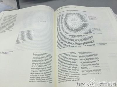 《希特勒的十字架》读后感1000字
