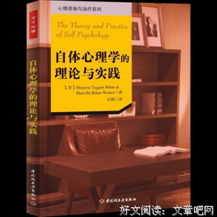 自体心理学的理论与实践读后感摘抄