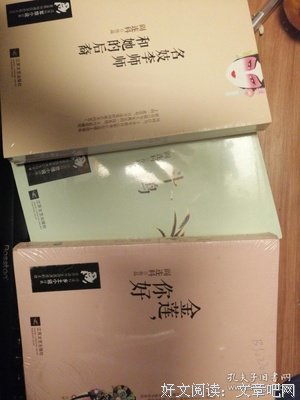 名妓李师师和她的后裔读后感100字