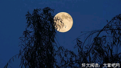风言风语