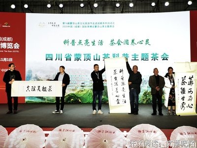 《美丽的山茶花》好看吗？经典影评锦集