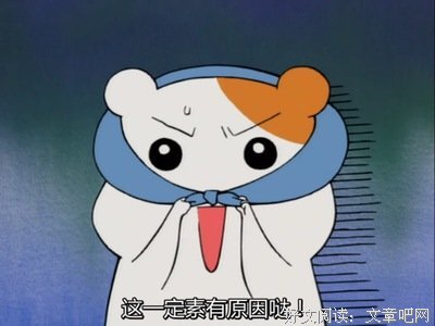 《仓鼠管家》的观后感大全