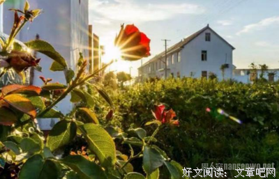 正能量经典的句子