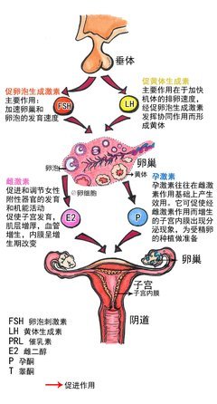 男女之间，最好的“春药”就这两个字