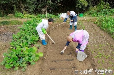 最全的《祝圣寺愣严坛城公众微信》经典语句
