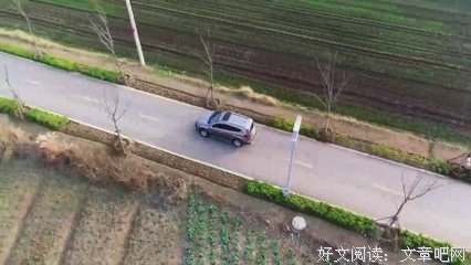 《永远的田野》的影评大全