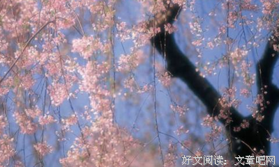 《我愿无穷》读后感摘抄