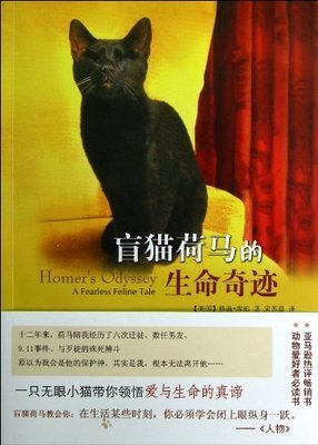 《盲猫荷马的生命奇迹》读后感1000字