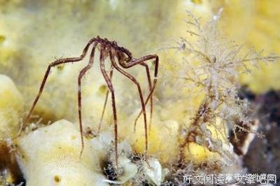 《牛津艺用人体解剖学》读后感锦集