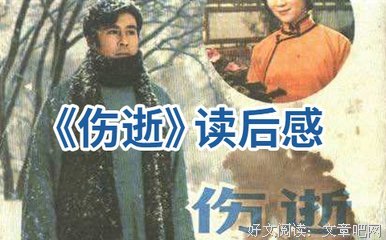 《理解全球冲突与合作》读后感精选